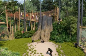 chimpansee verblijf dierenpark amersfoort