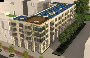 young creatives amsterdam